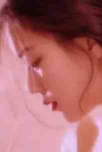 星光藏进晚风里陆时晏温知意完结文